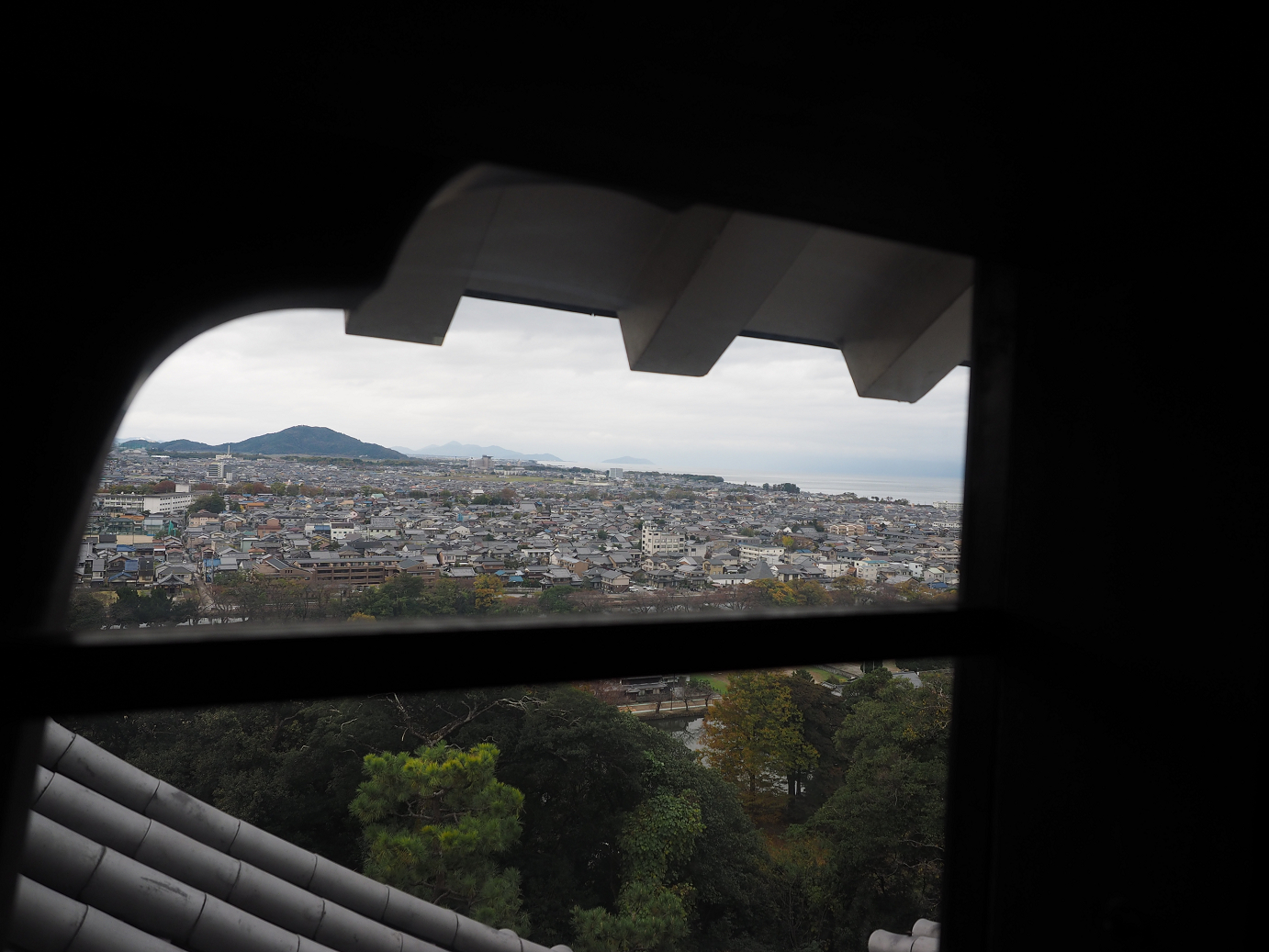 PB140887.jpg
