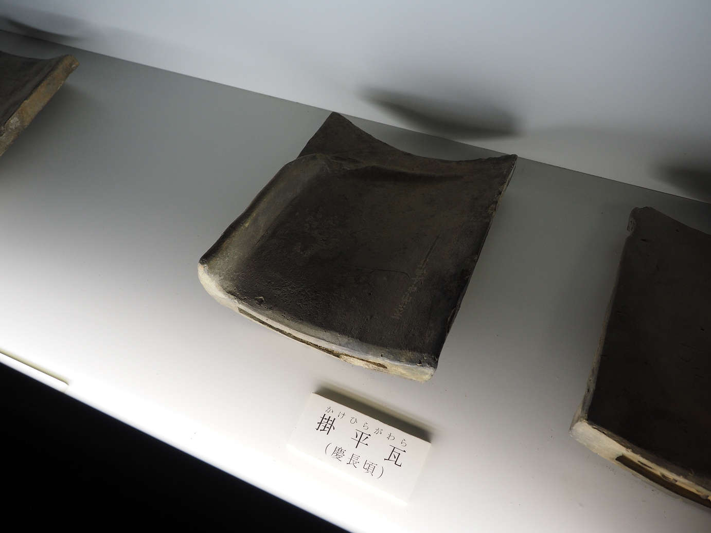 PB140898.jpg