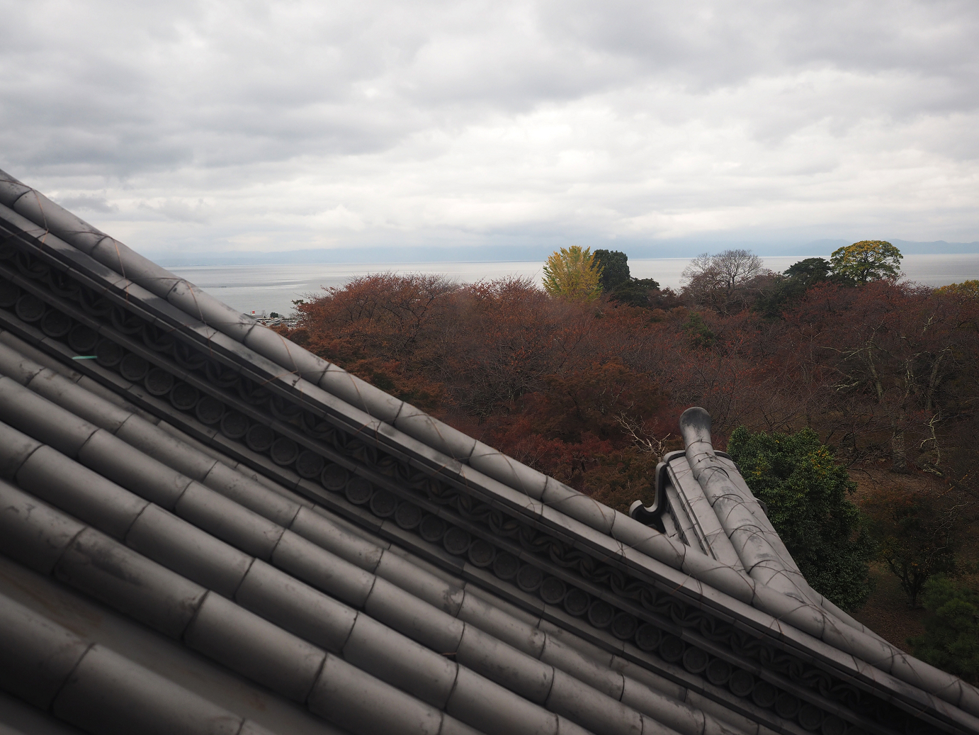 PB140903.jpg