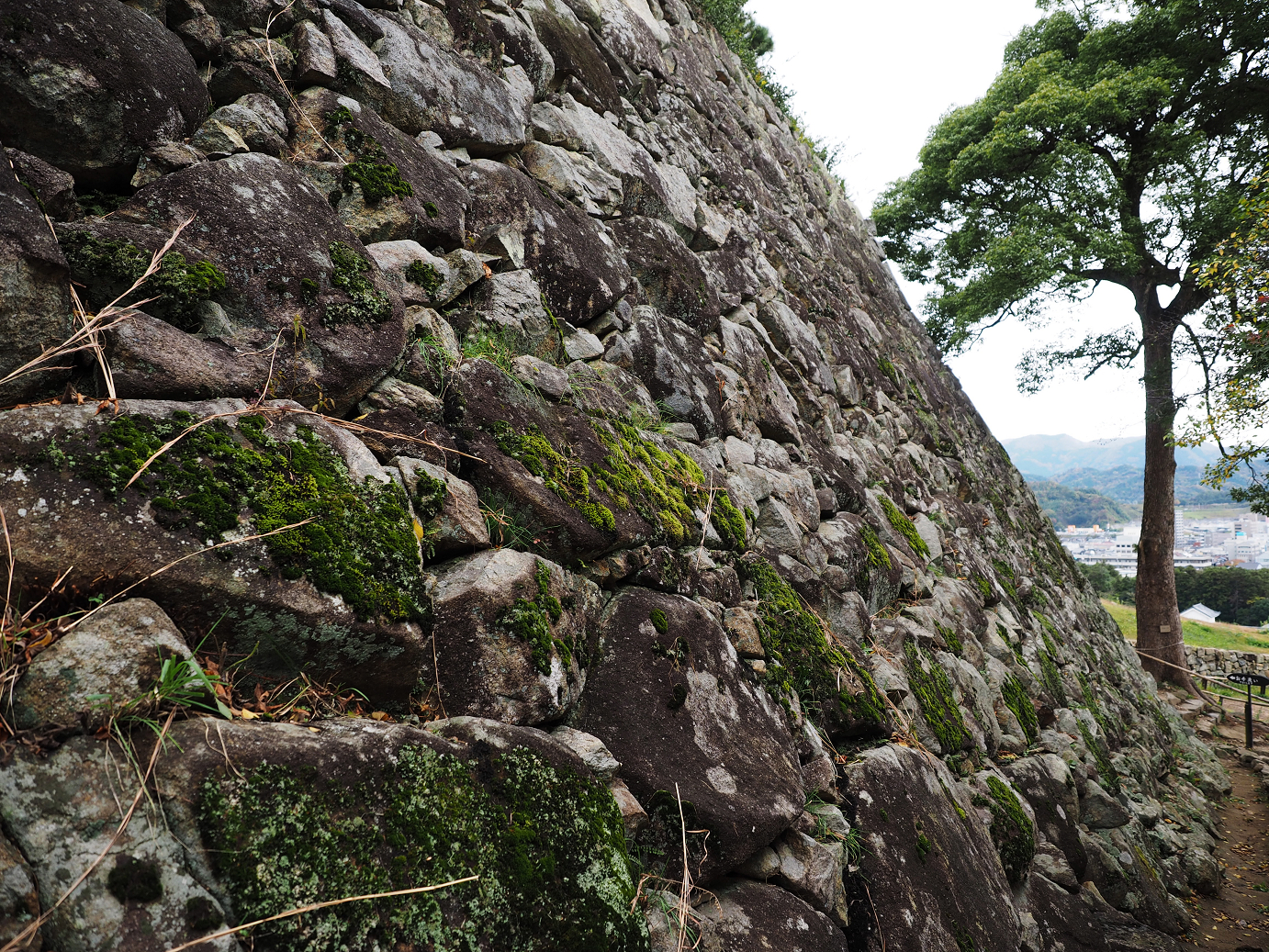 PB140921.jpg