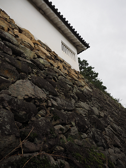 PB140924_thumb.png