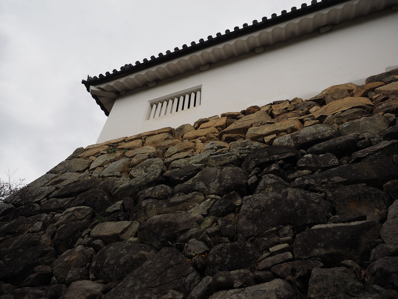 PB140925.jpg