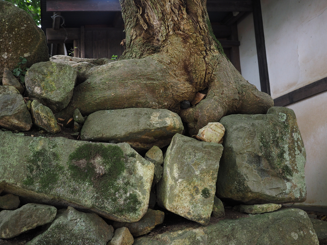 PB140926.jpg