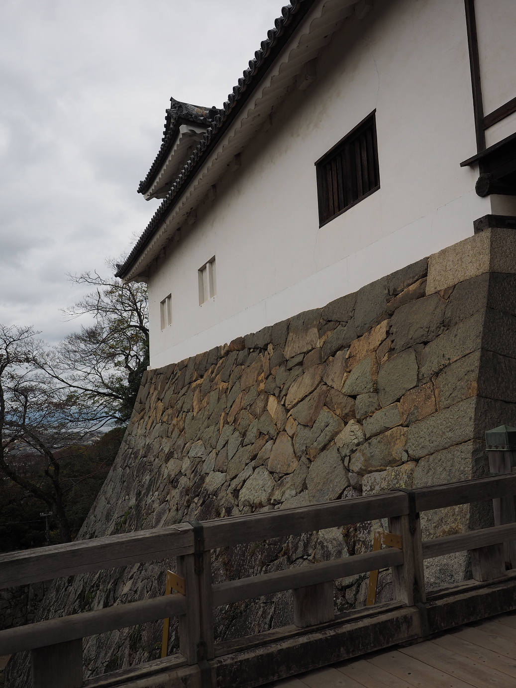 PB140933.jpg