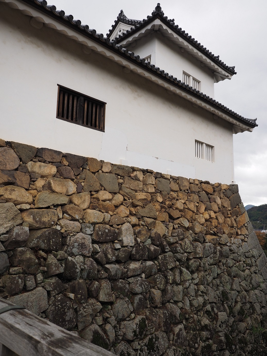PB140935.jpg