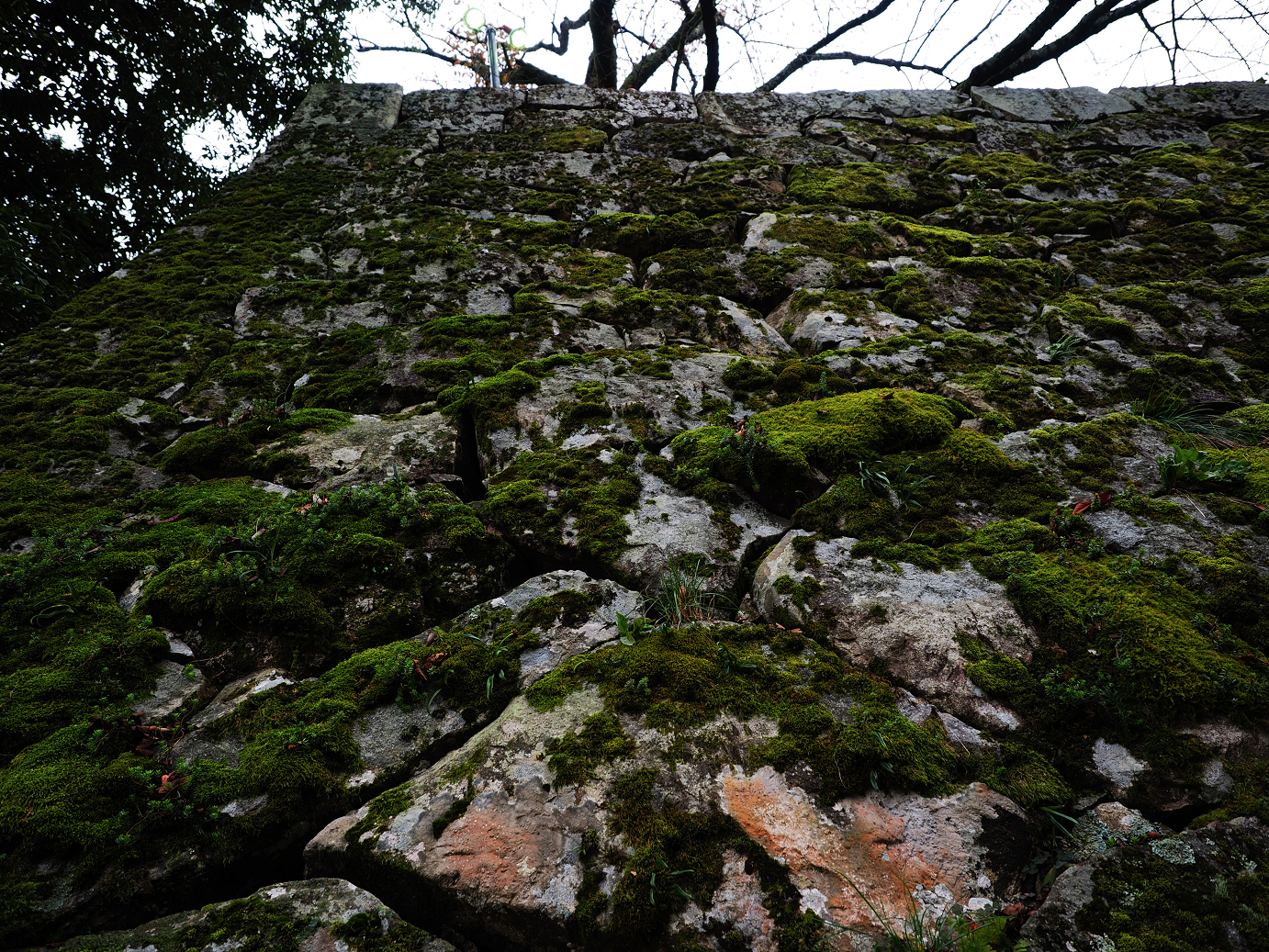 PB140944.jpg