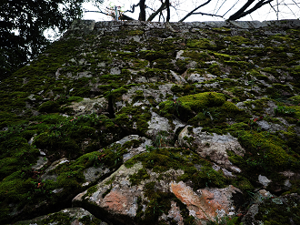 PB140944_thumb.png