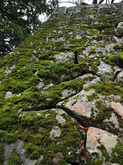PB140945_thumb.png