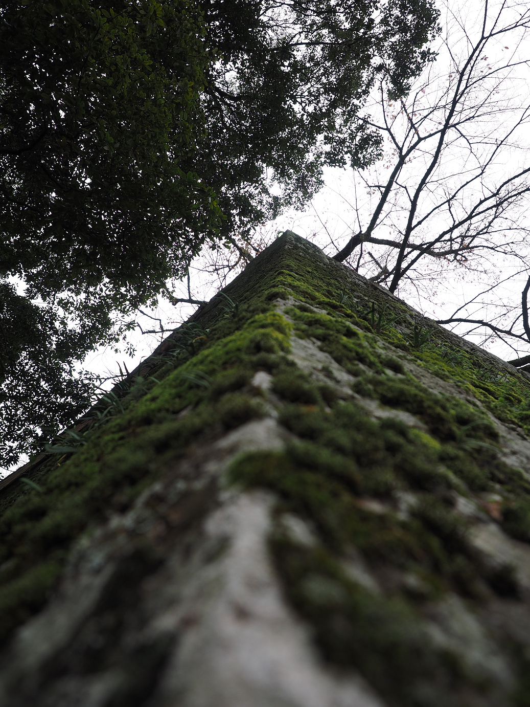 PB140951.jpg