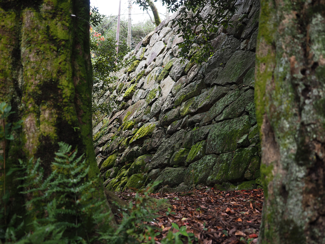 PB140954.jpg