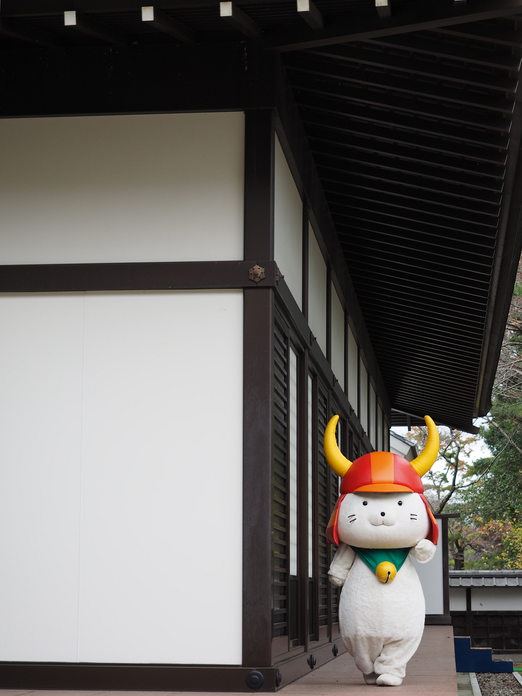 PB140963.jpg