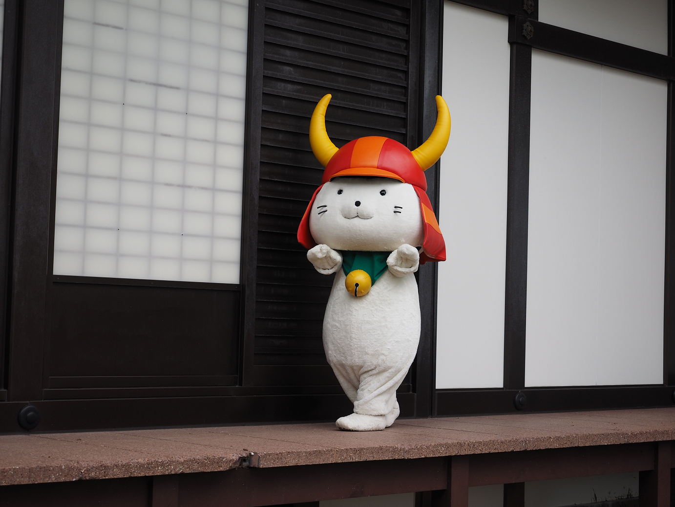 PB140969.jpg