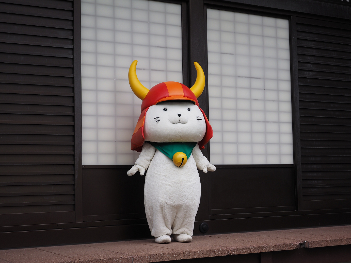 PB140979.jpg