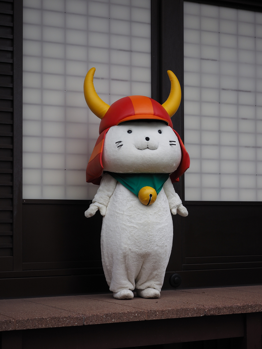PB140983.jpg