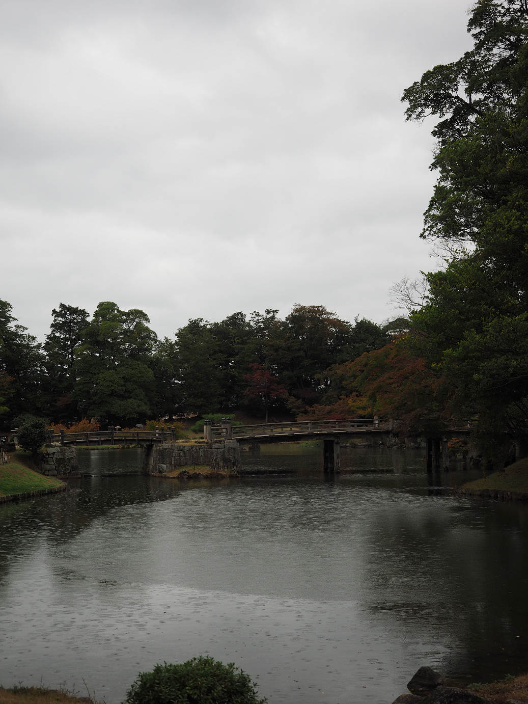 PB141110.jpg