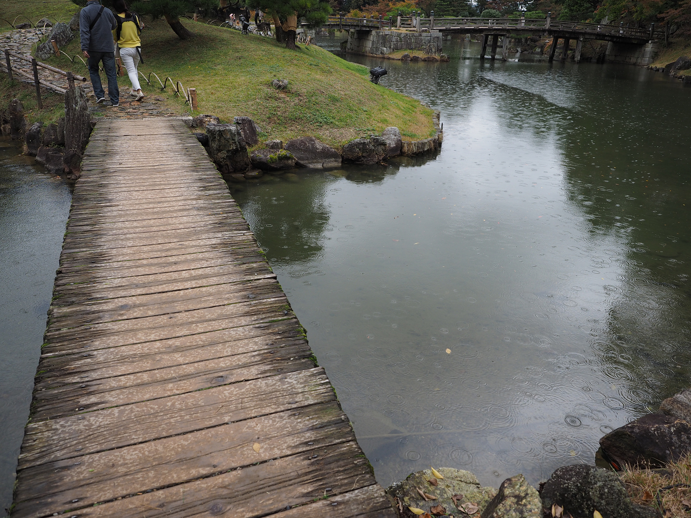 PB141114.jpg