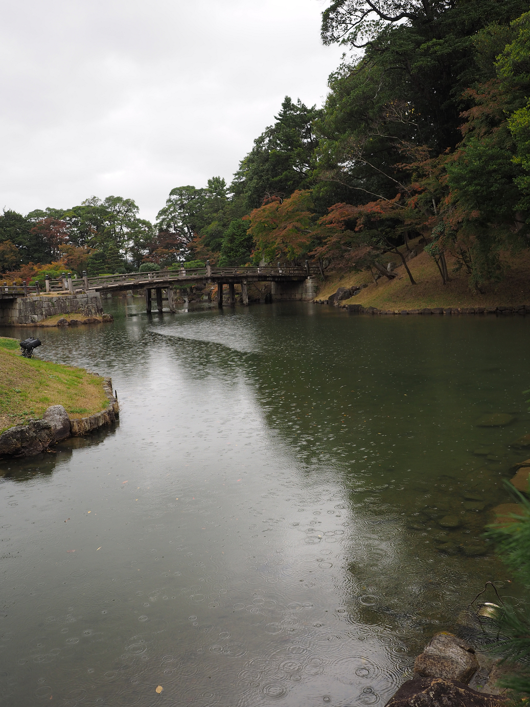 PB141116.jpg