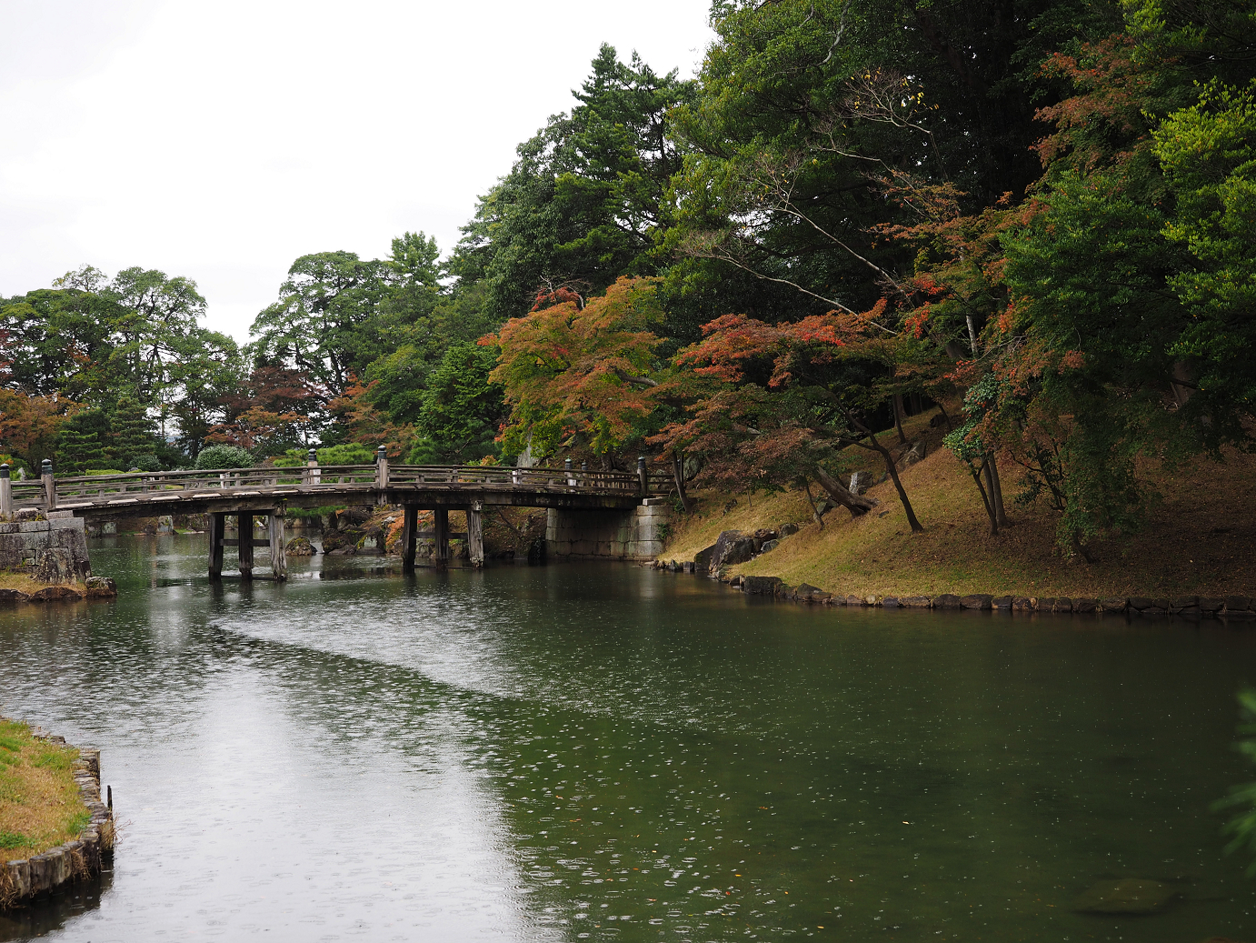 PB141118.jpg