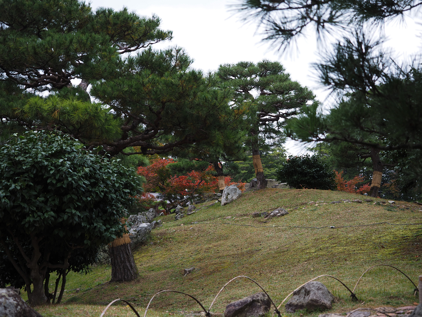 PB141119.jpg
