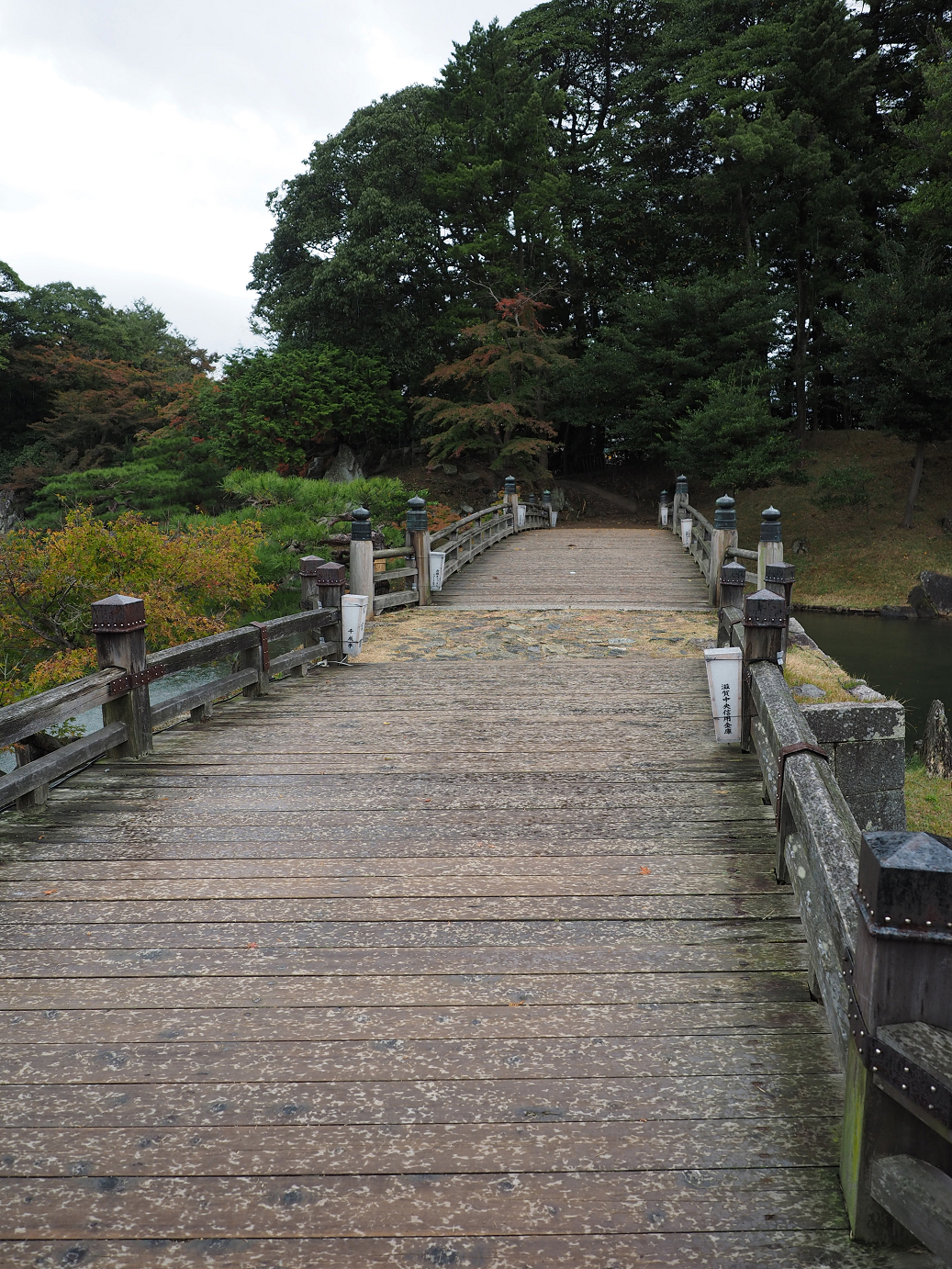 PB141120.jpg