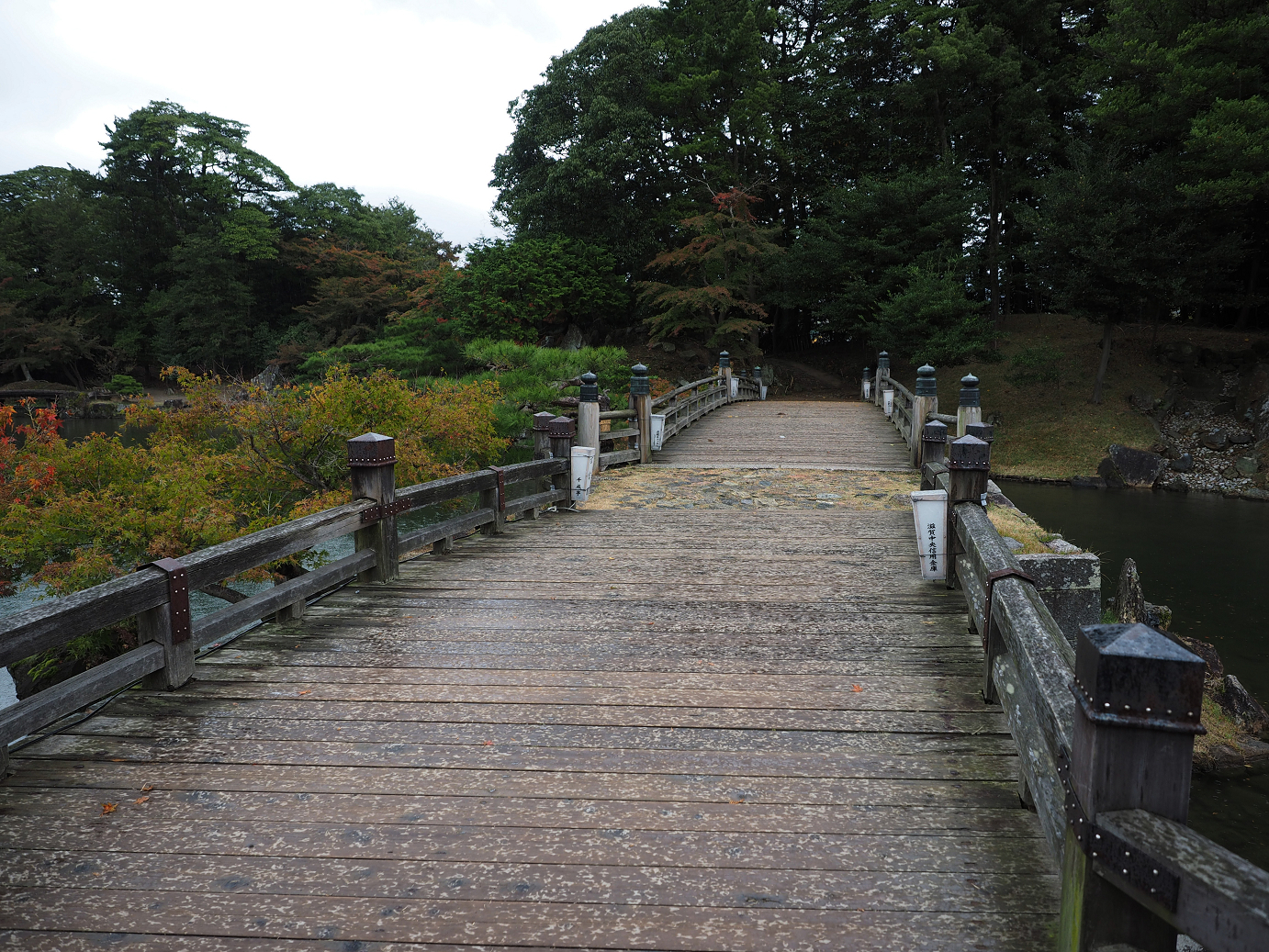 PB141123.jpg