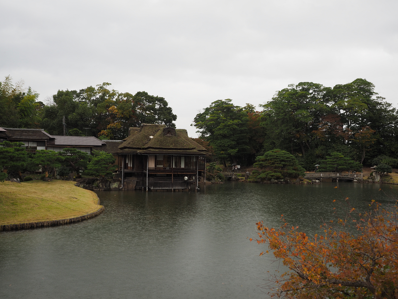 PB141124.jpg