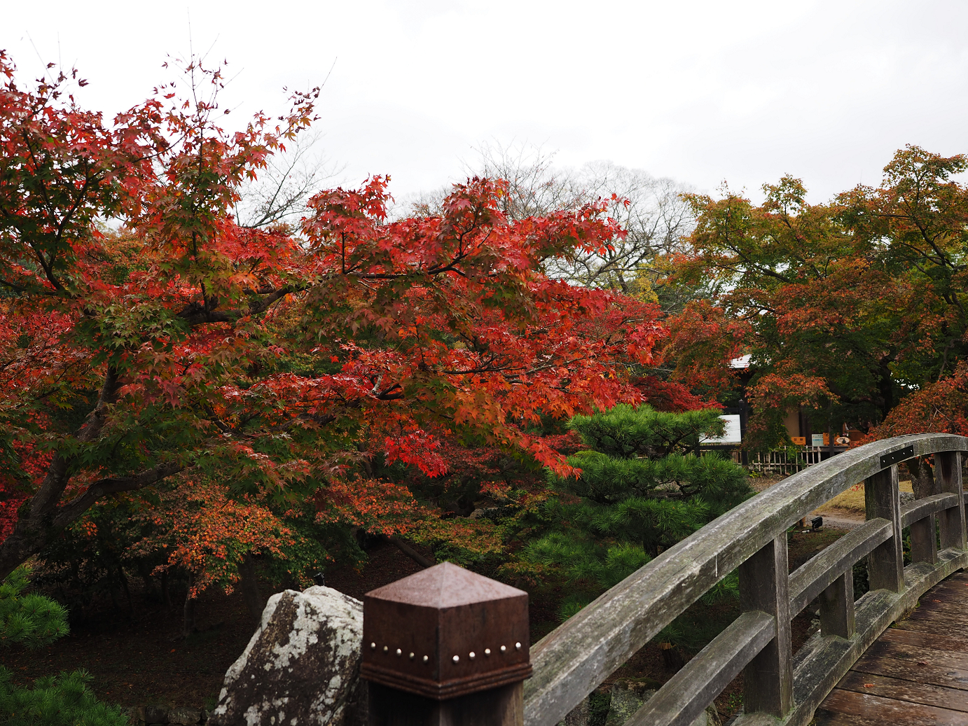 PB141130.jpg