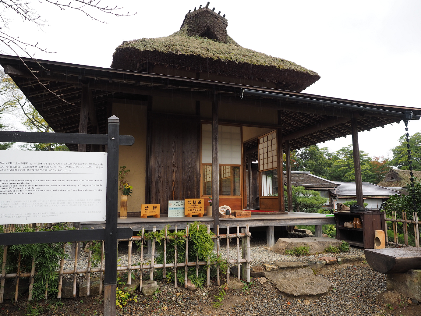 PB141141.jpg
