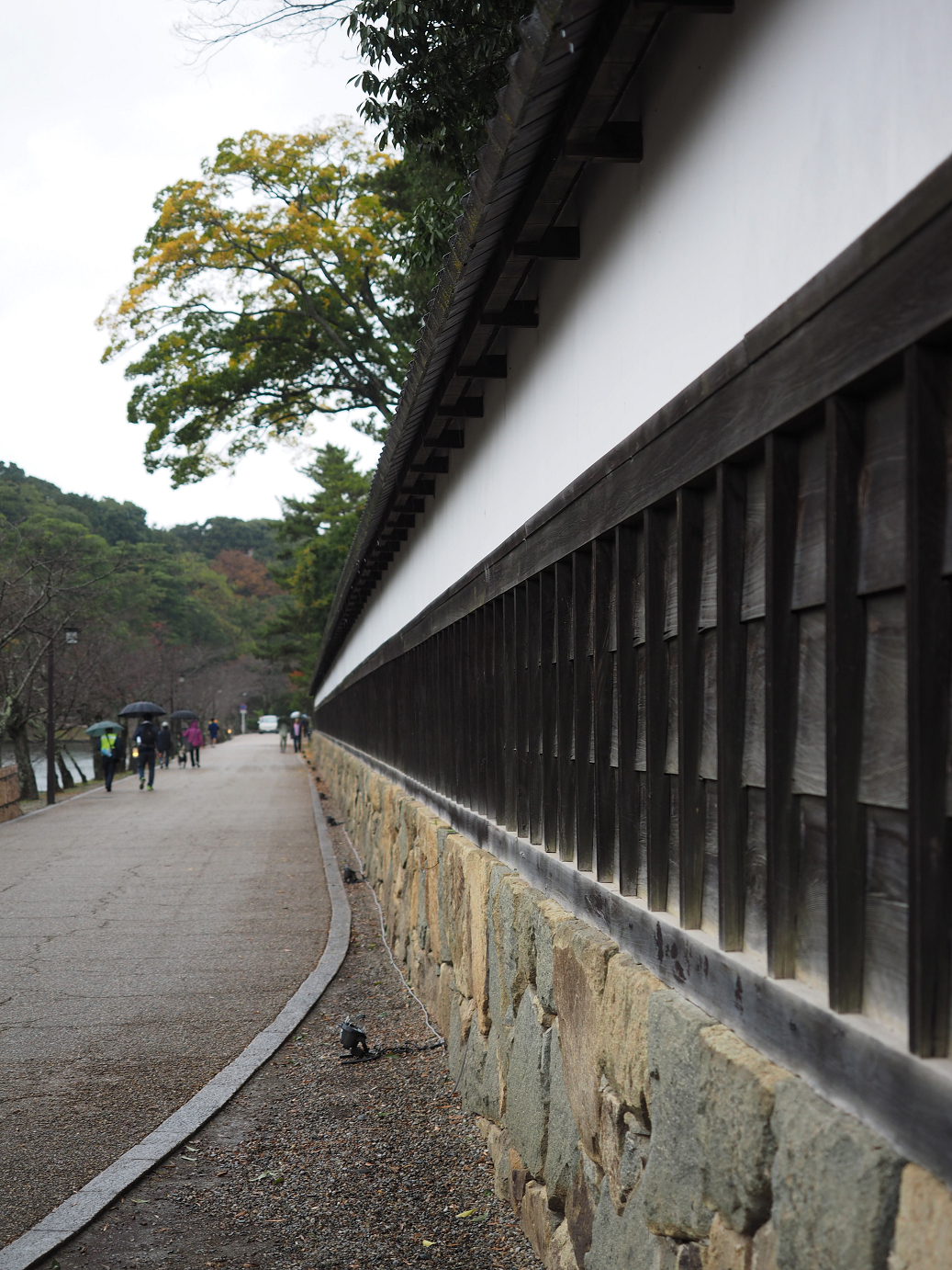 PB141161.jpg