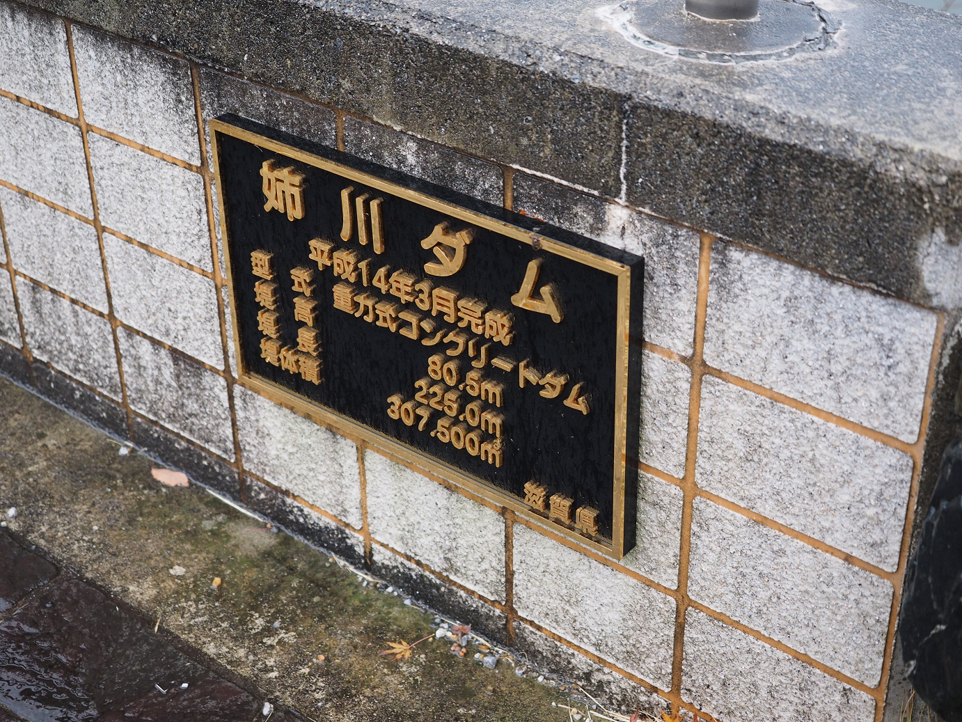 PB141176.jpg