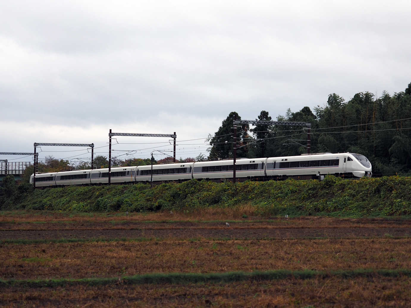 PB151363.jpg