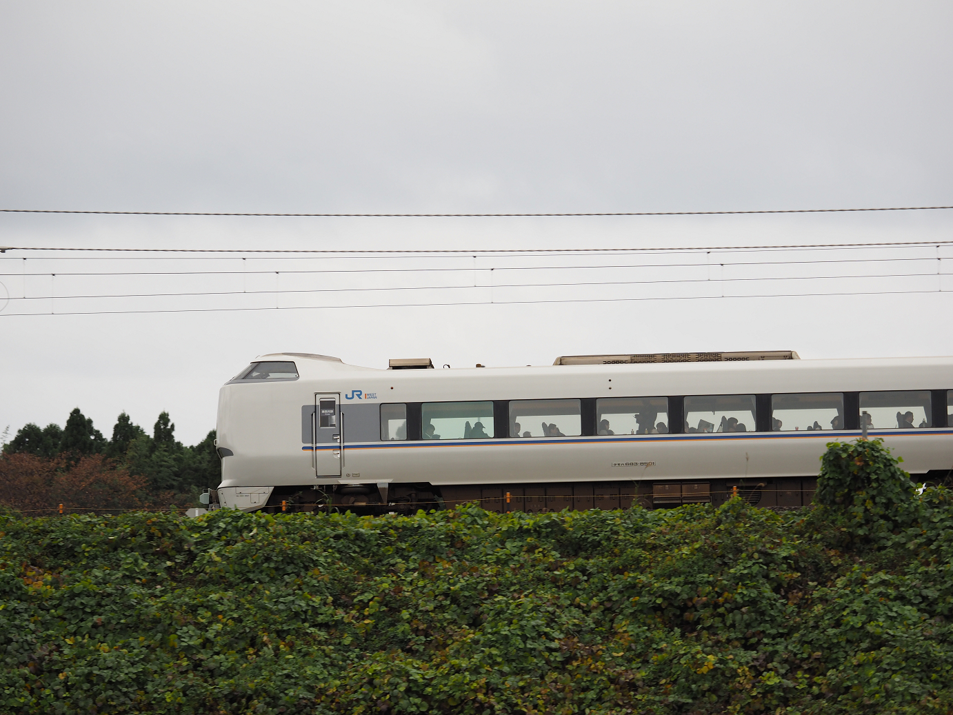 PB151365.jpg