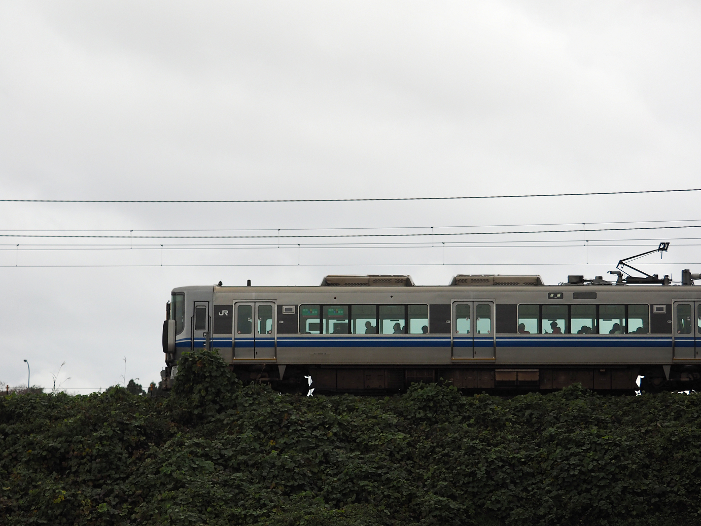 PB151368.jpg