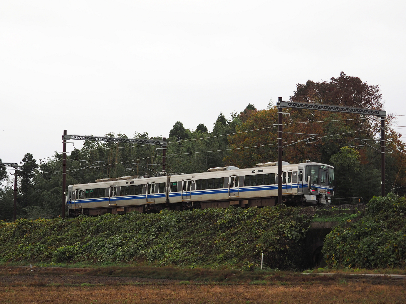 PB151371.jpg