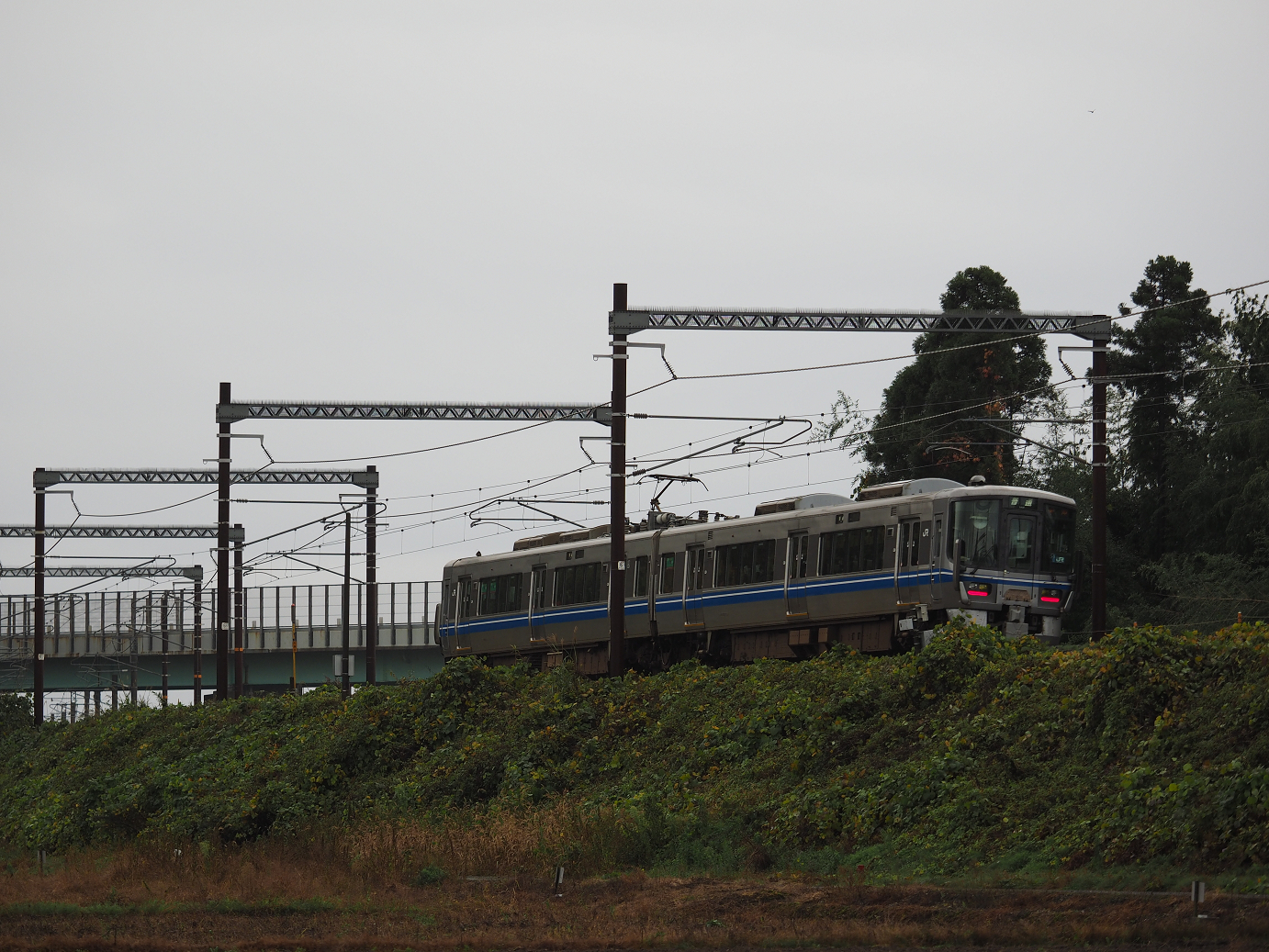 PB151372.jpg