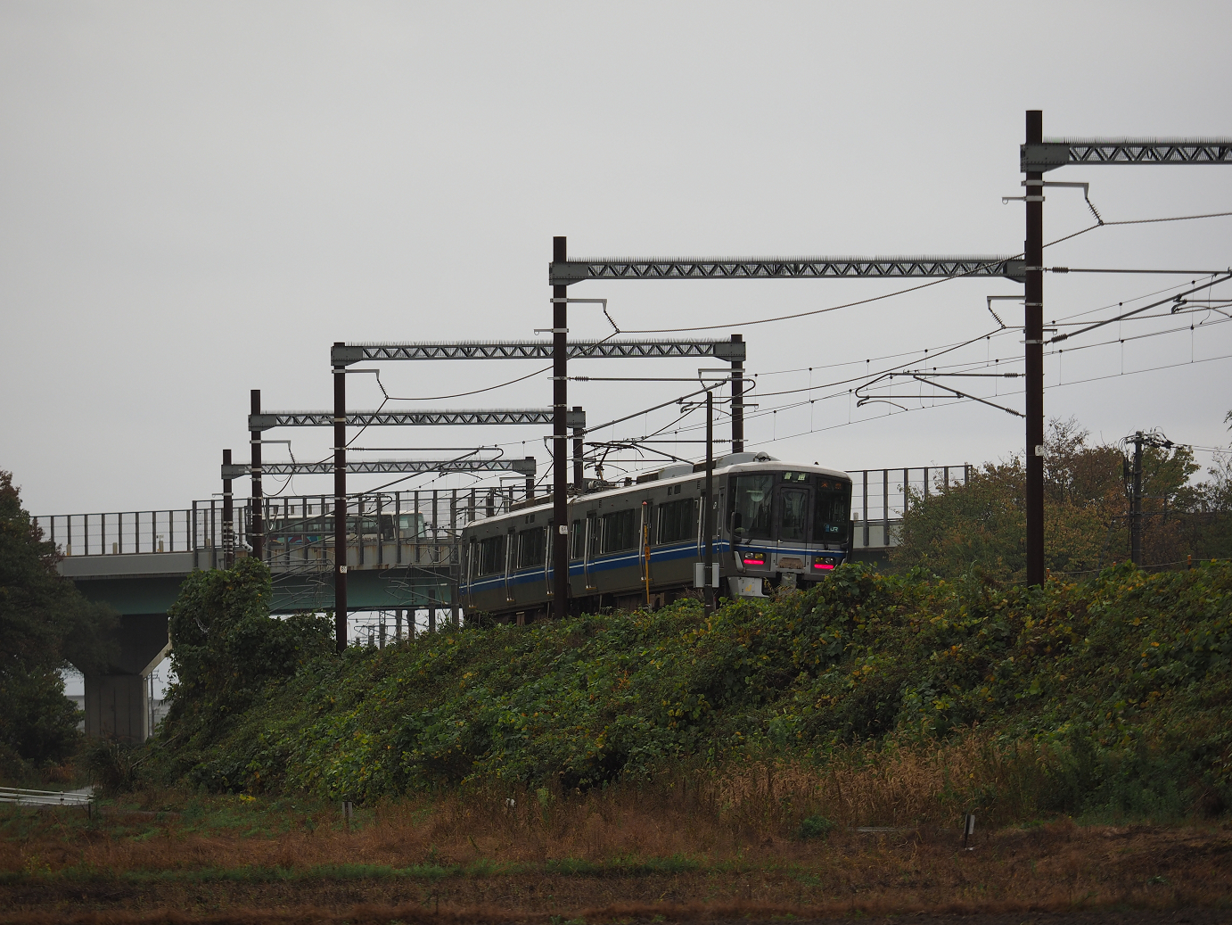 PB151373.jpg