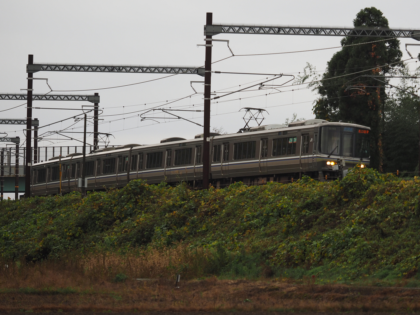 PB151376.jpg
