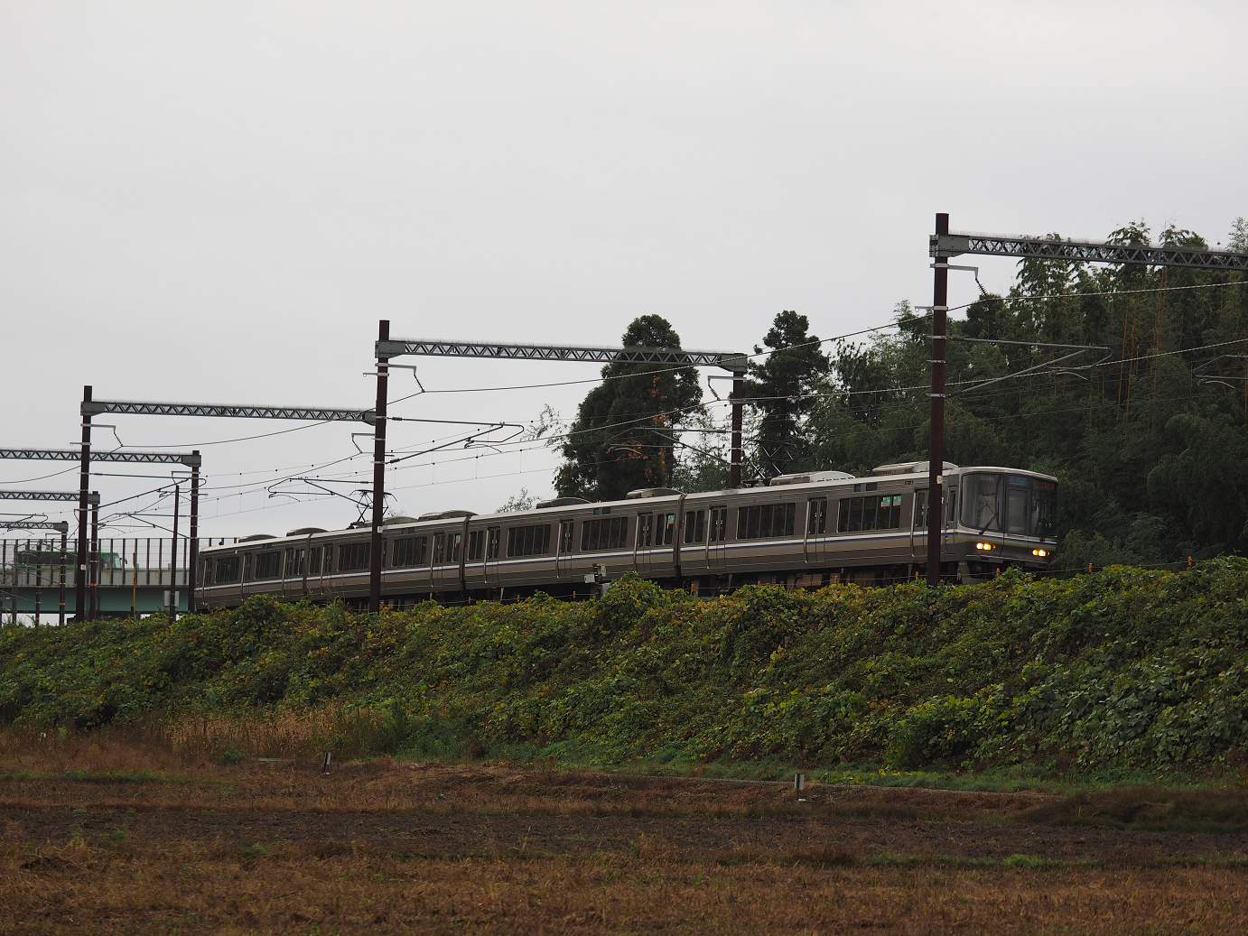 PB151377.jpg