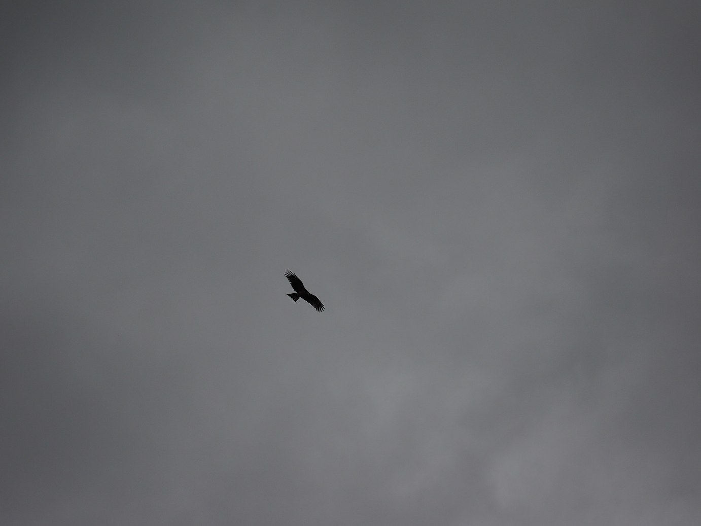 PB151382.jpg
