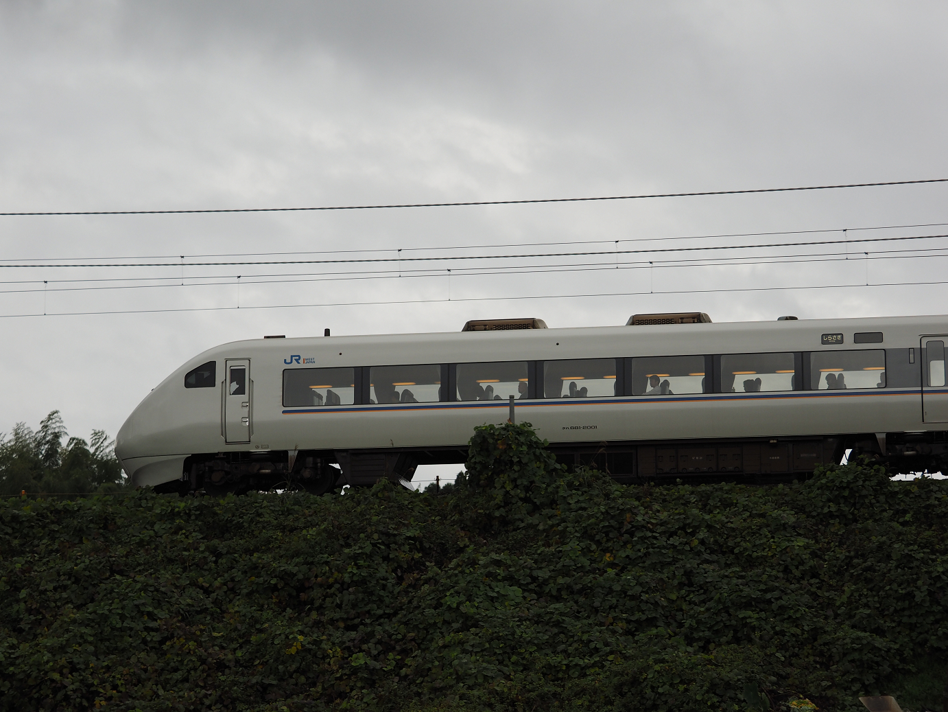 PB151391.jpg