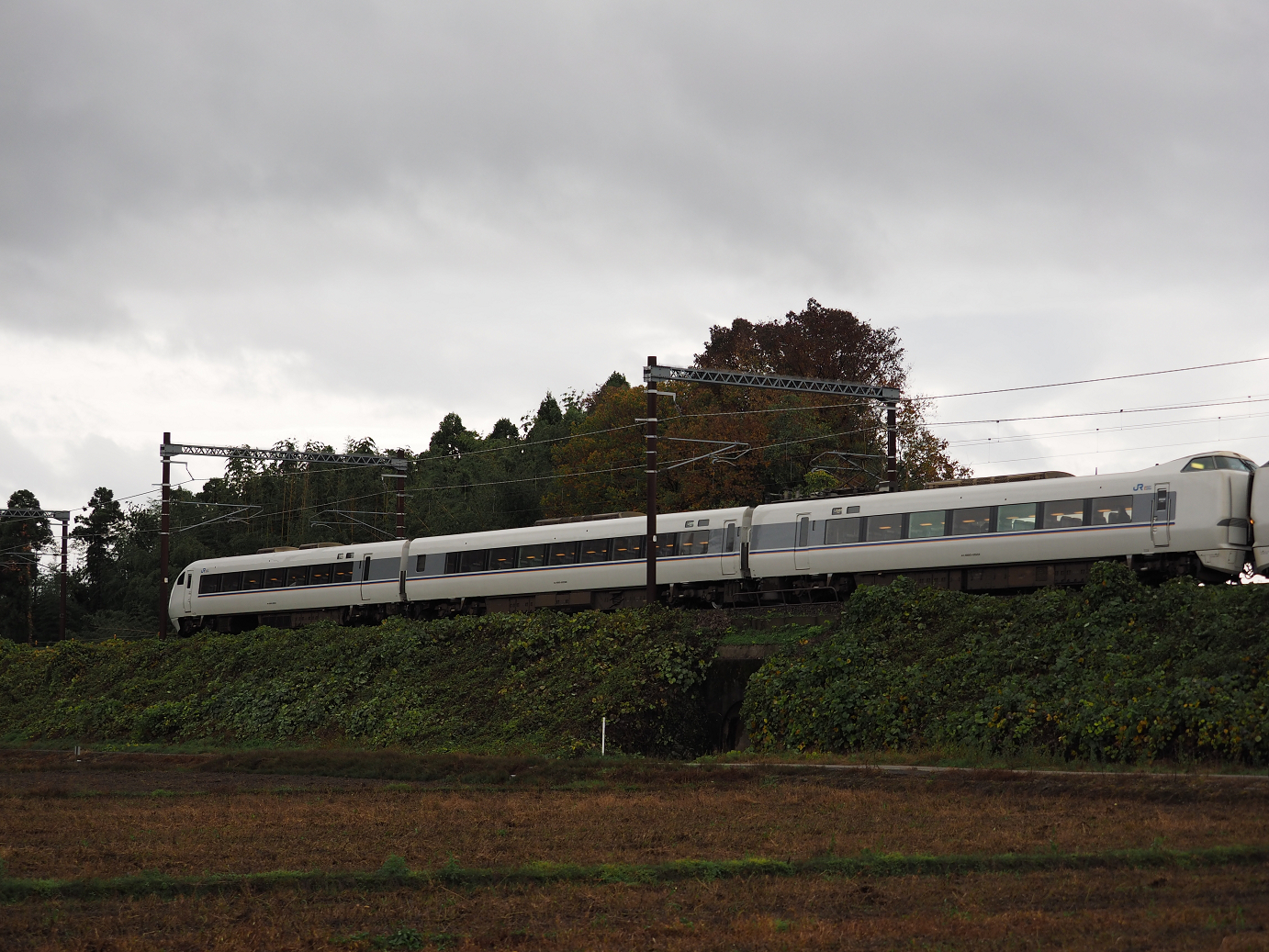 PB151393.jpg