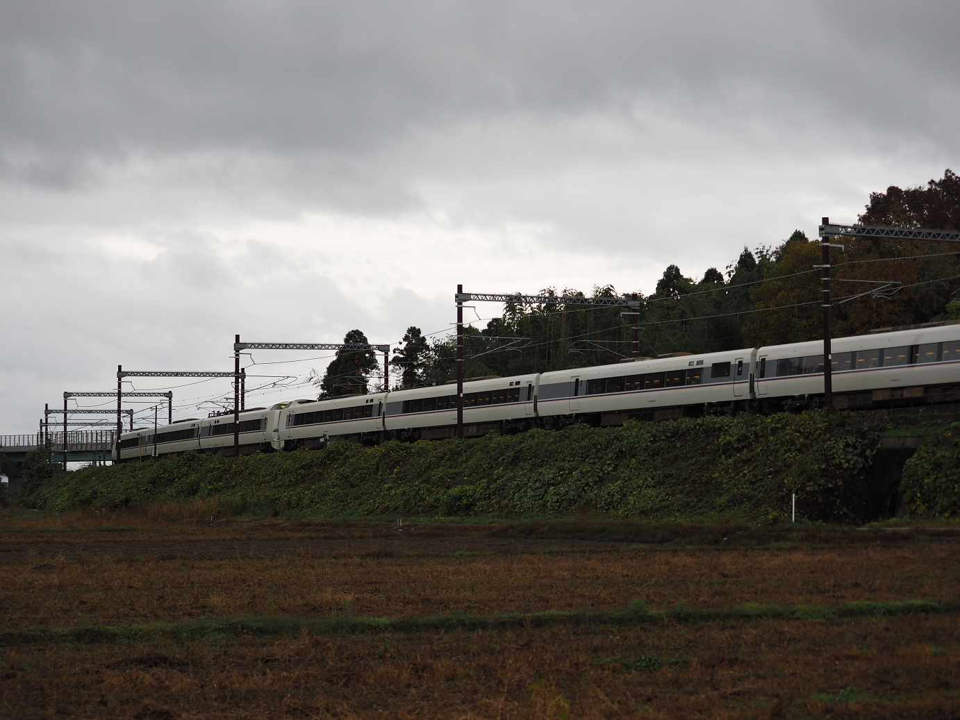 PB151395.jpg