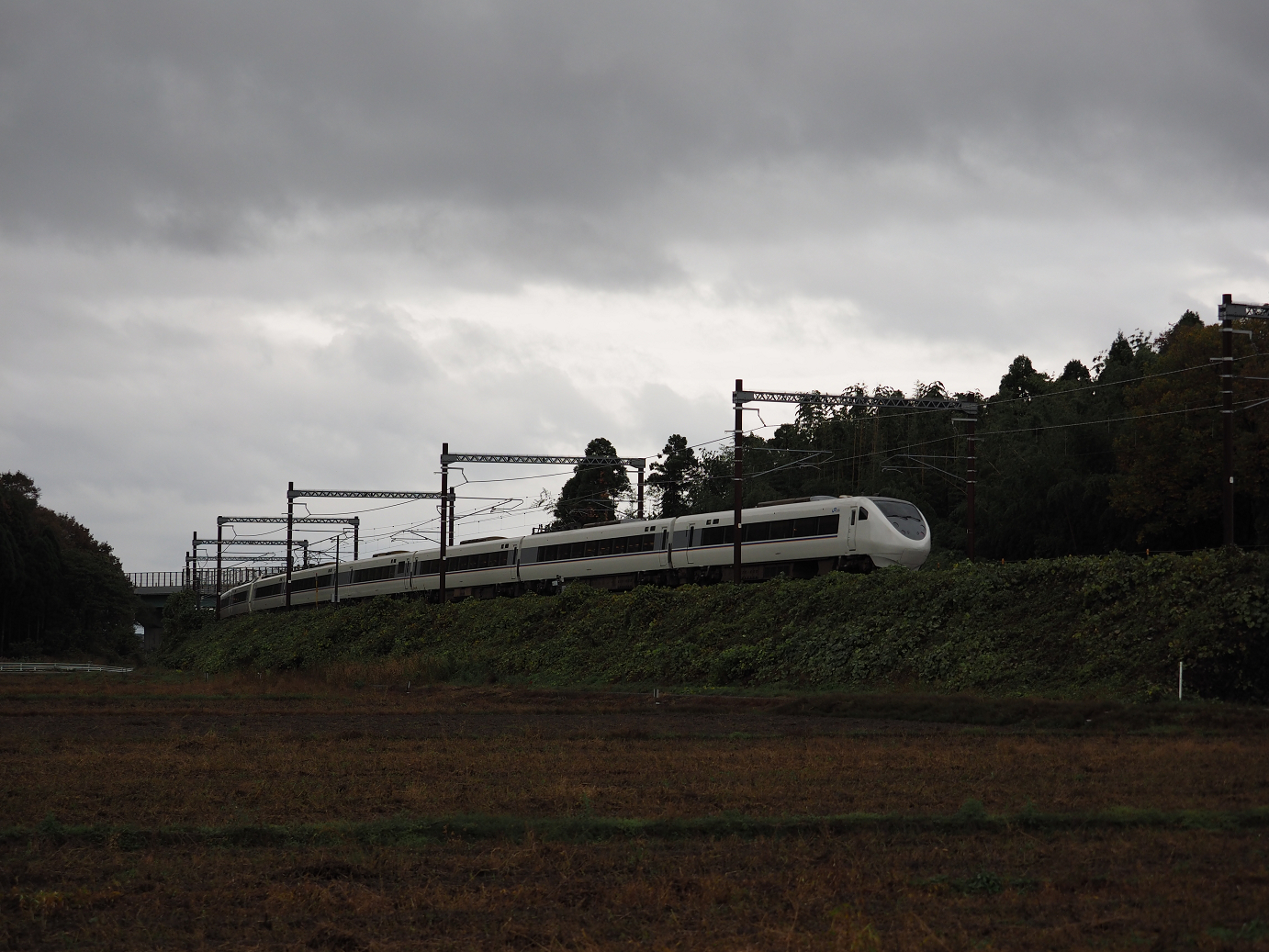 PB151397.jpg