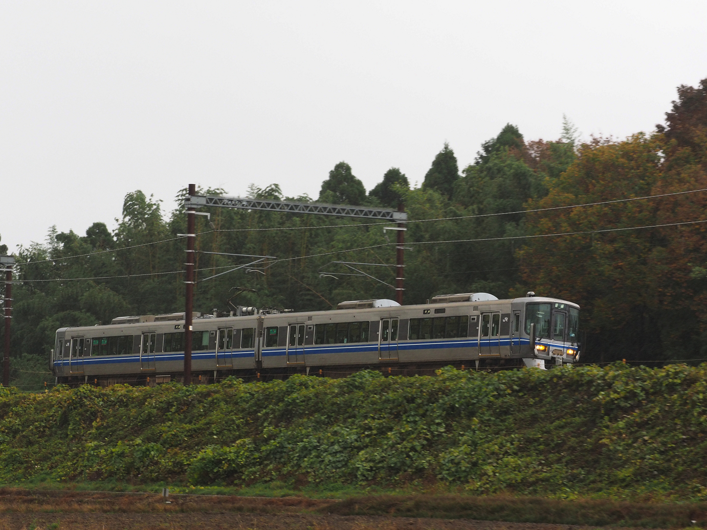 PB151437.jpg