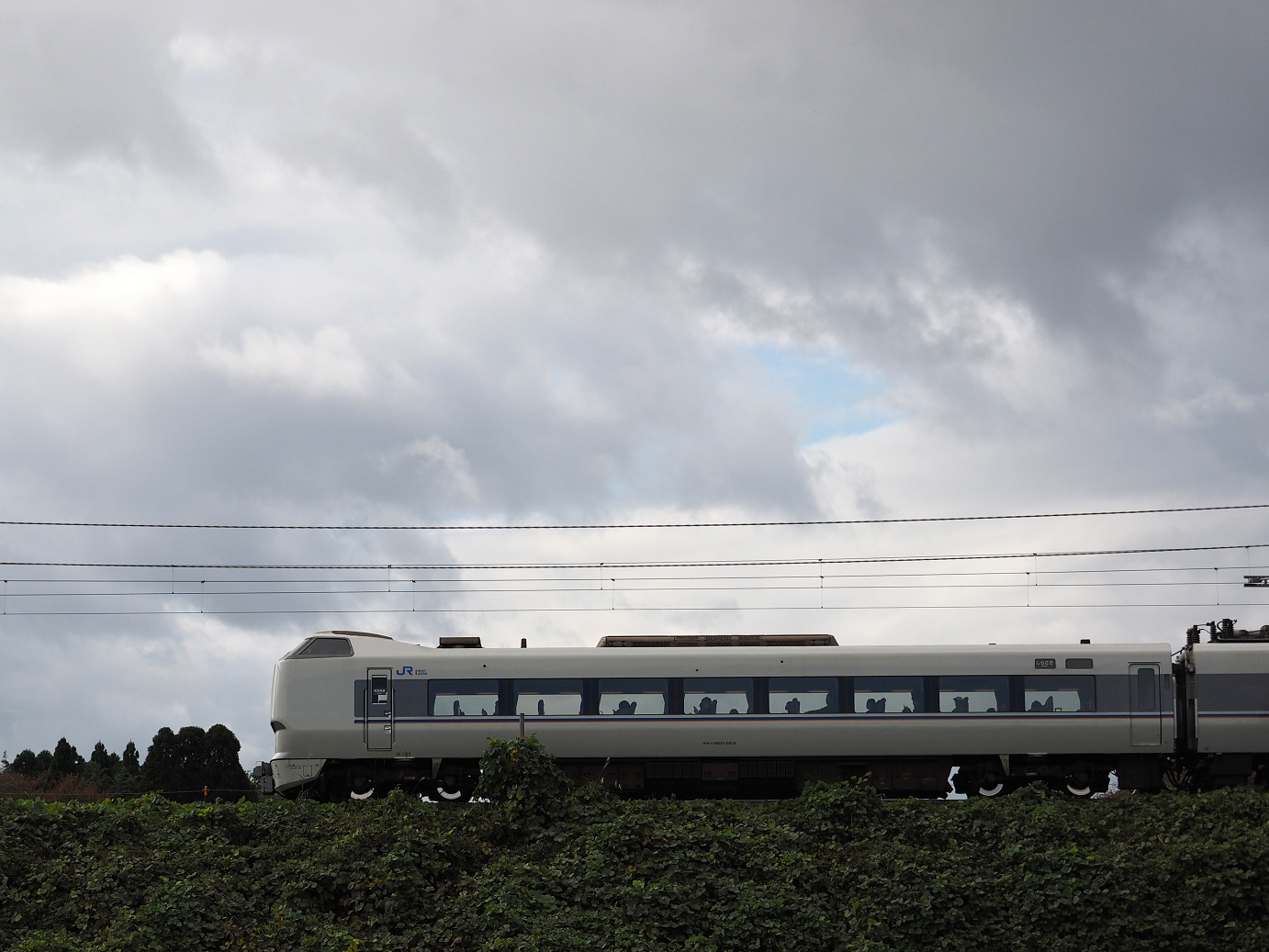 PB151441.jpg