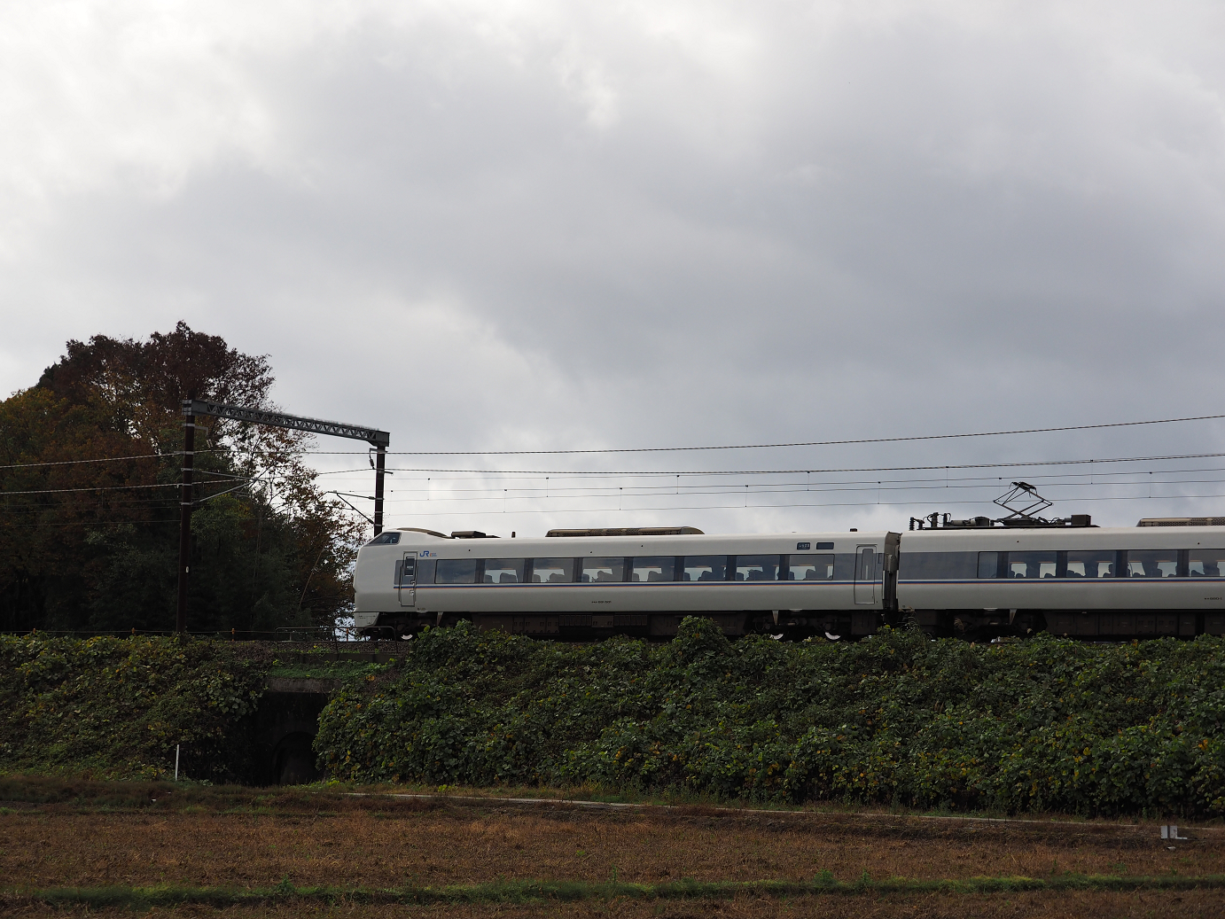 PB151443.jpg