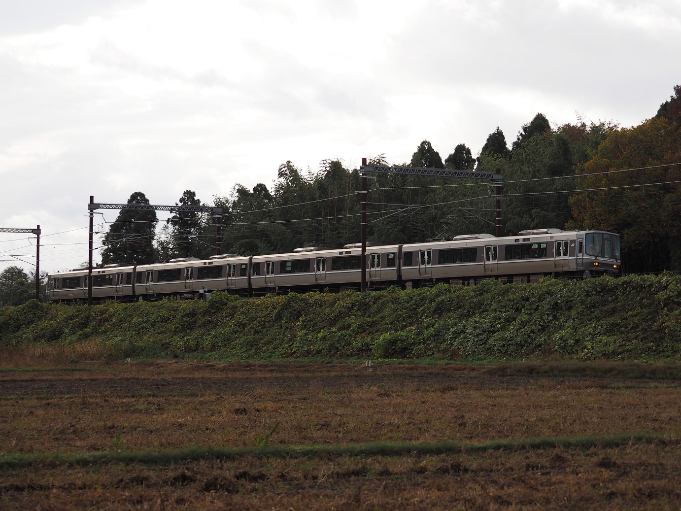PB151455.jpg