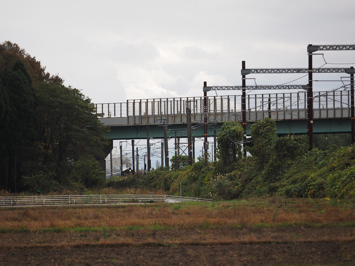 PB151466.jpg