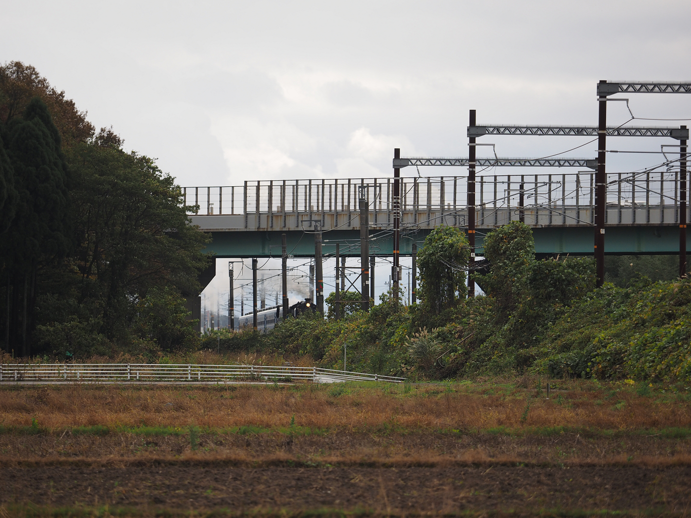 PB151467.jpg