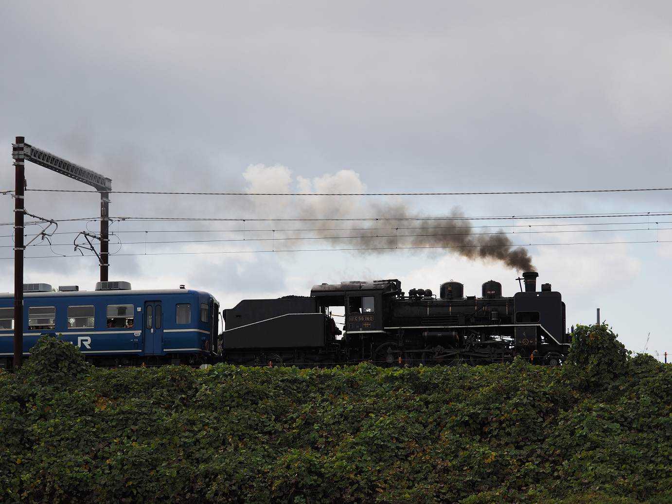 PB151497.jpg